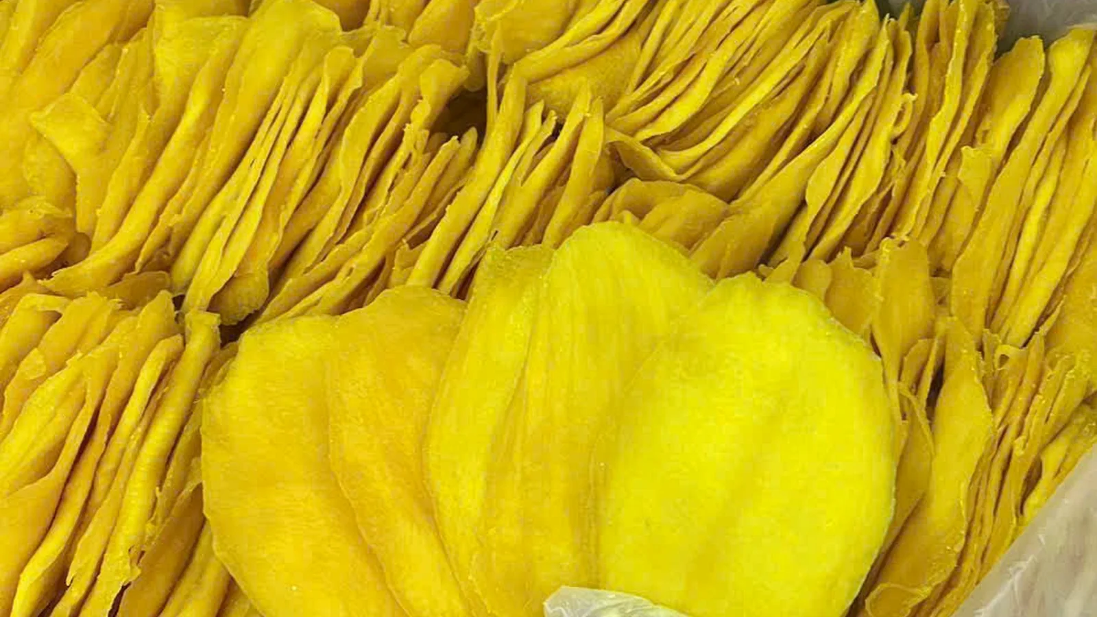 Finished dried mango inspection