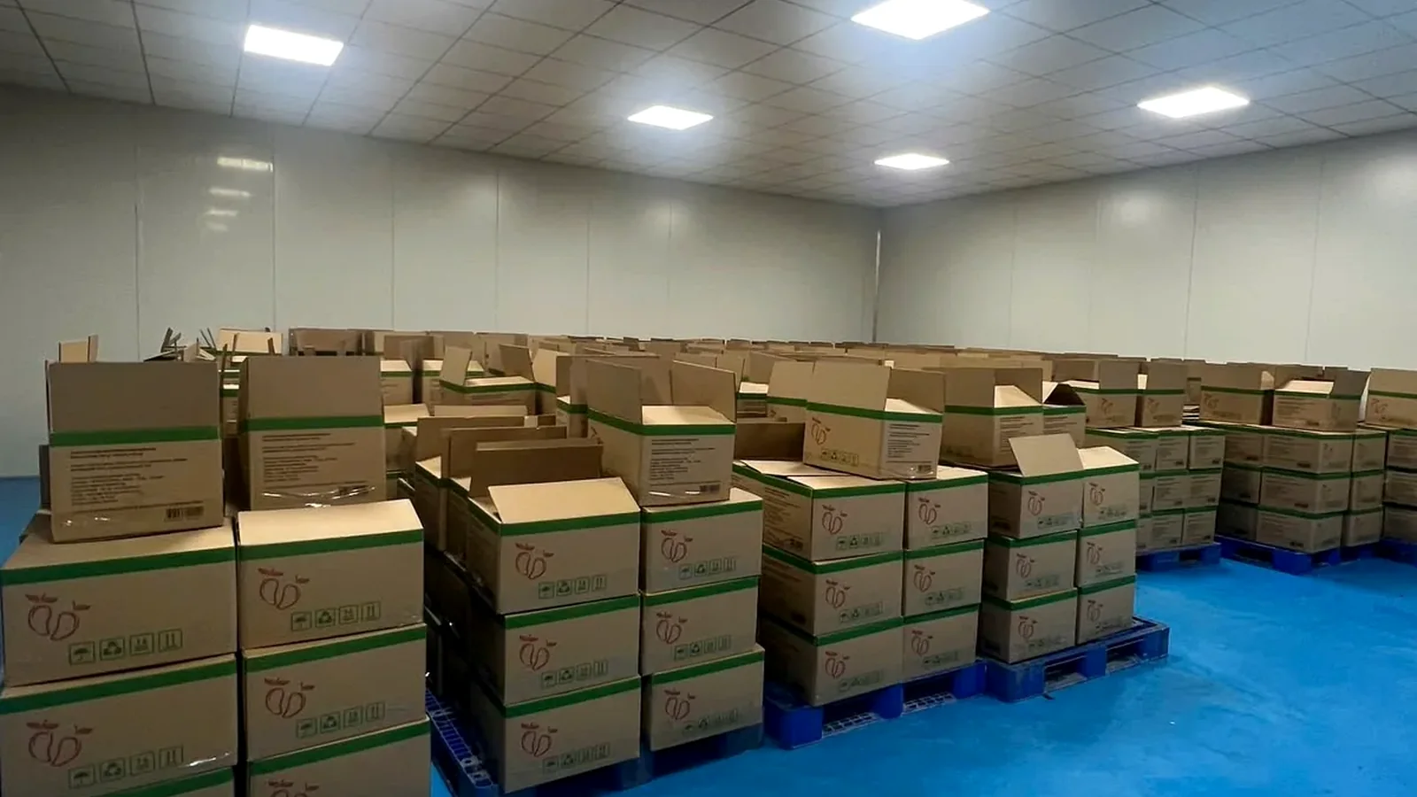 Warehouse and loading area