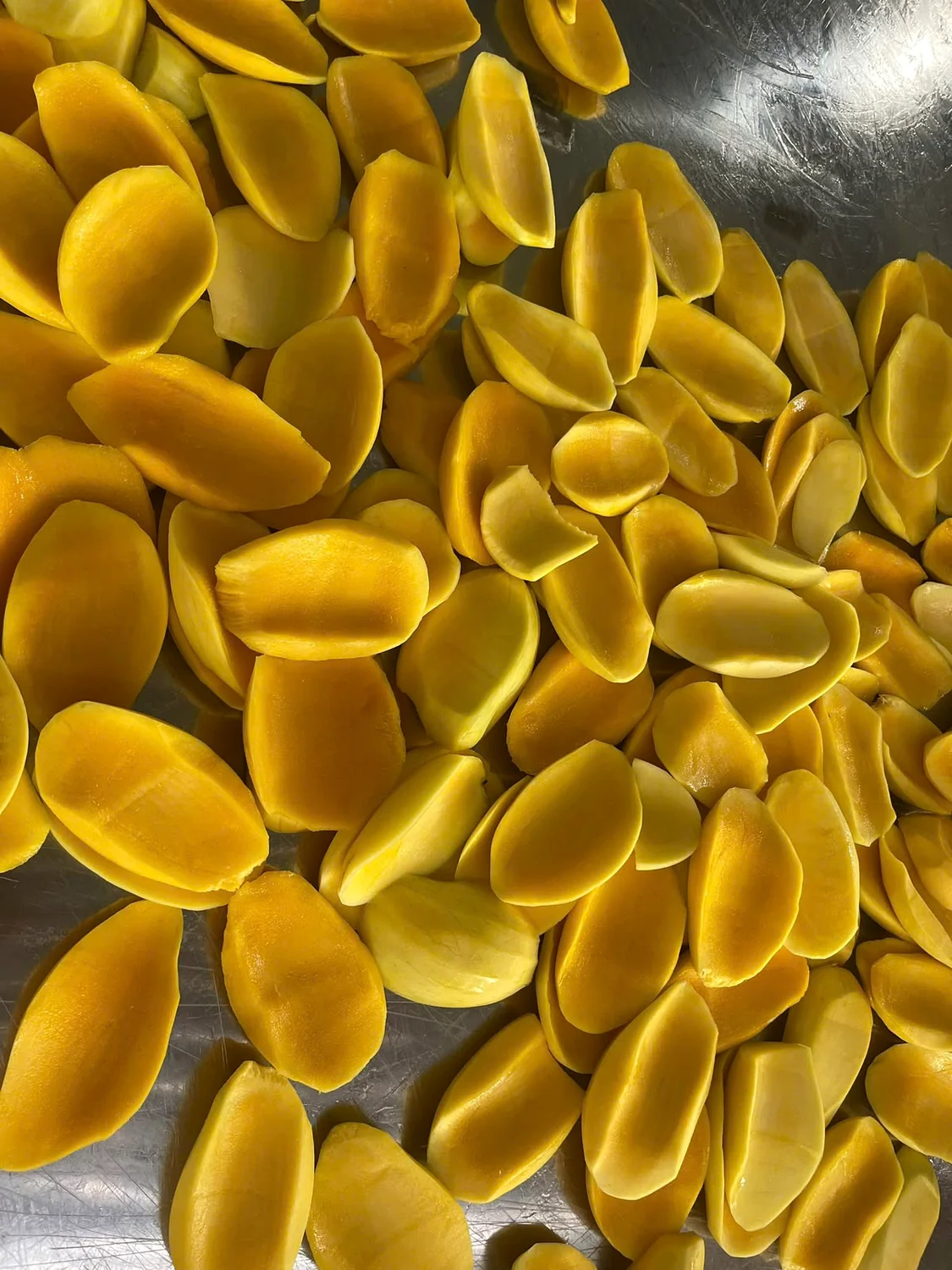 Fresh mango slices prepared for drying